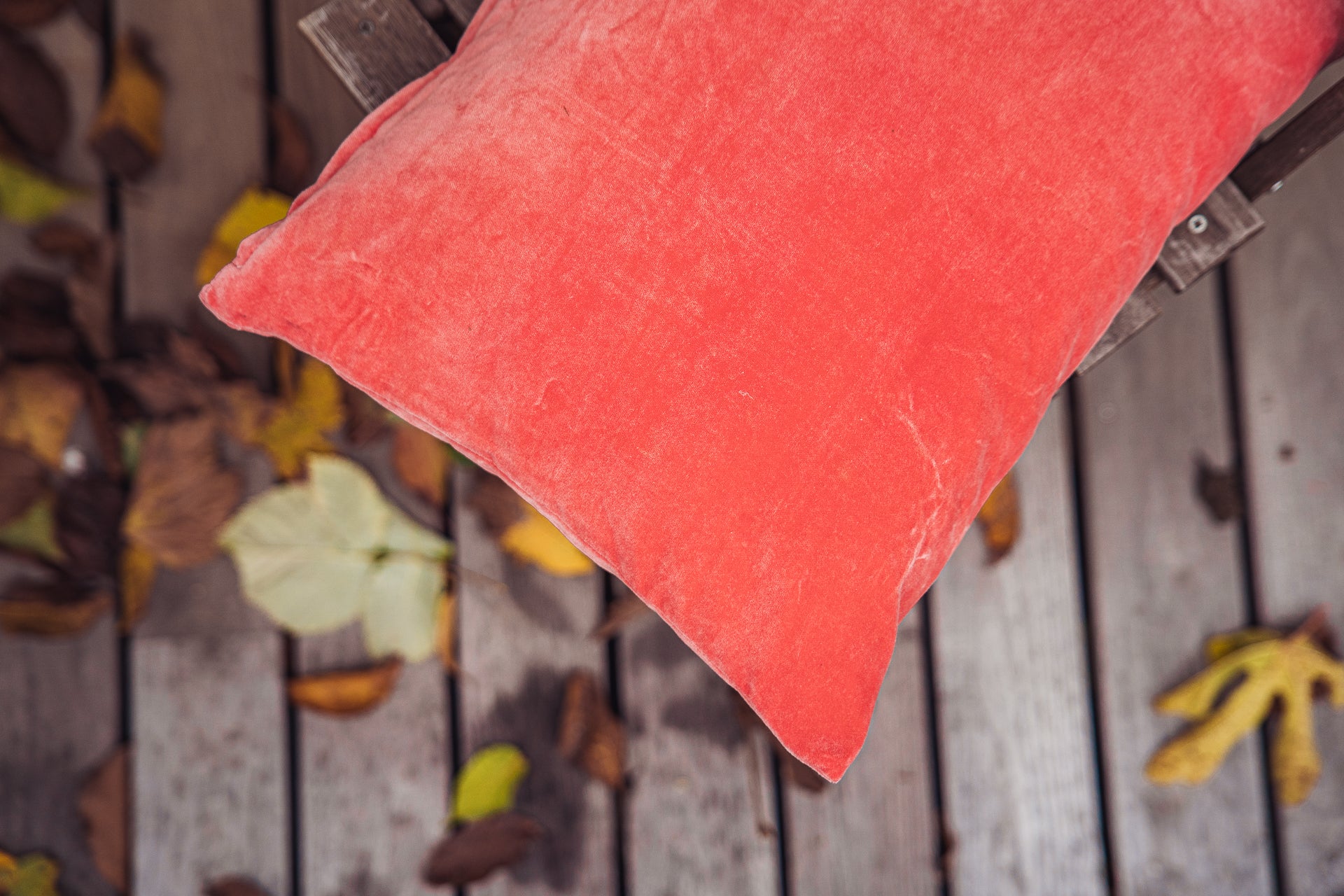 Travel Pillow: Indian cotton velvet - P470