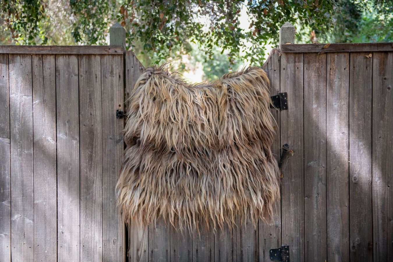 Rugs