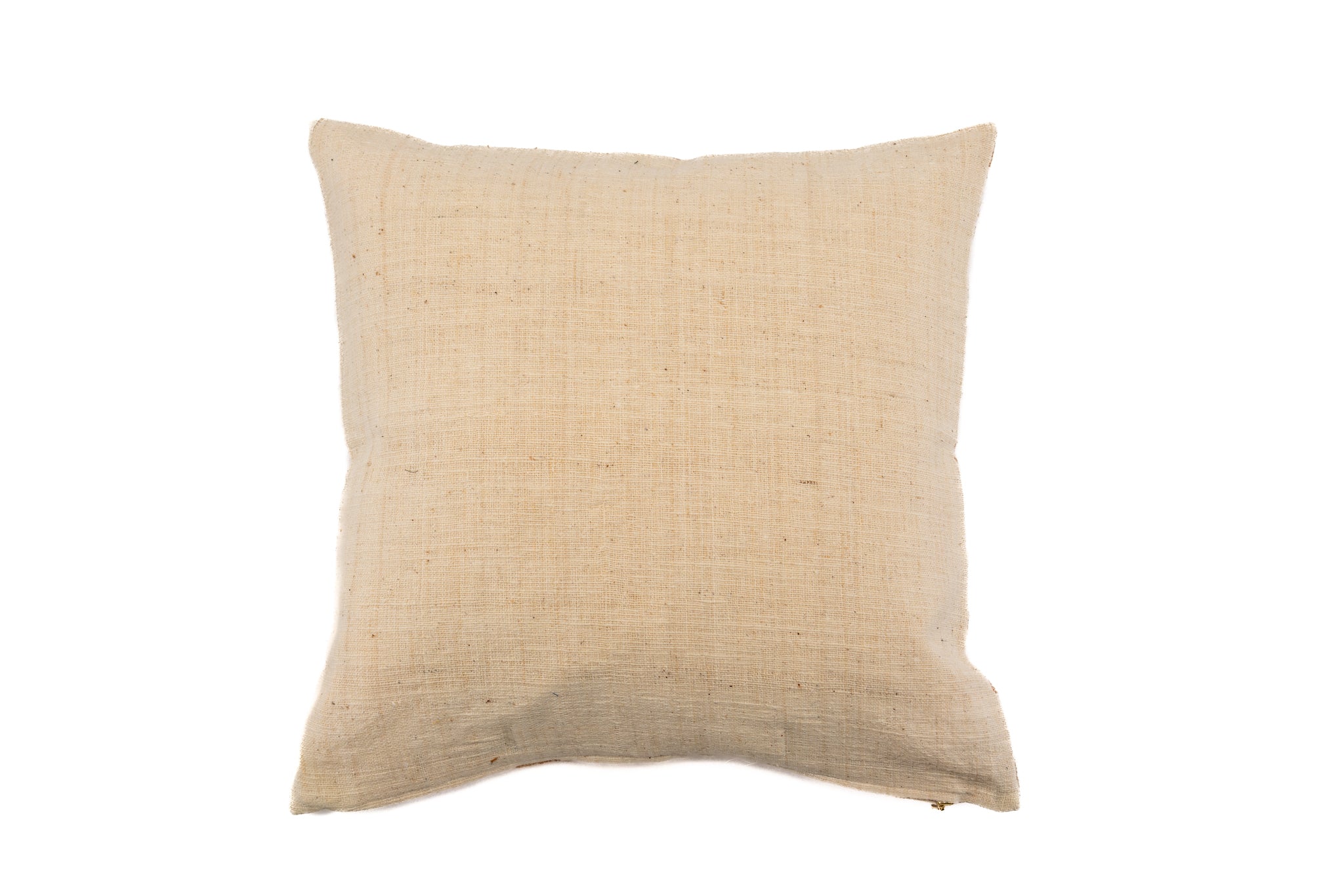 Pillow: Handwoven Cotton - P445