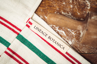 Antique handwoven Bulgarian cotton bag with red and green stripes, featuring unique craftsmanship.